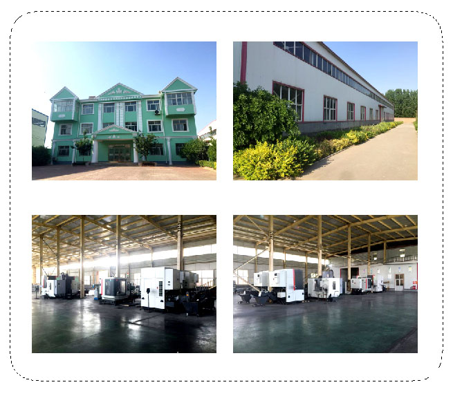 <strong>富強(qiáng)場(chǎng)景實(shí)拍</strong>